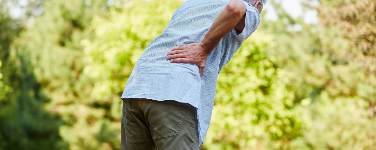 spine pain spine pain